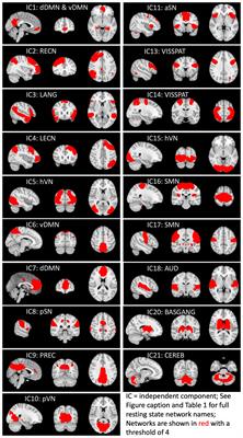 Inter-Network Brain Functional Connectivity in Adolescents Assigned Female at Birth Who Experience Gender Dysphoria